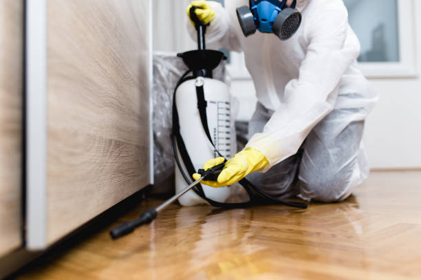 Best Best Pest Control Companies  in Mount Sterling, KY