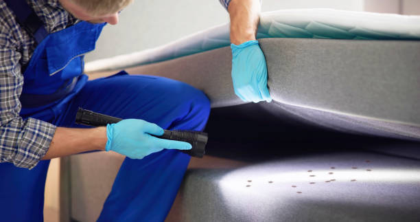 Best Best Pest Control Companies  in Mount Sterling, KY