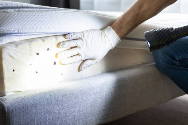 Best Pest Inspection Near Me  in Mount Sterling, KY