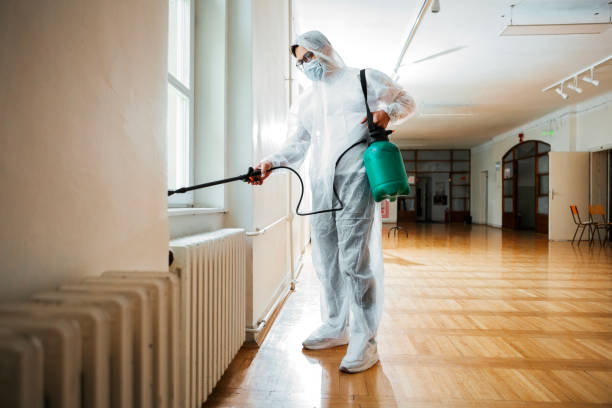 Best Pest Prevention Services  in Mount Sterling, KY